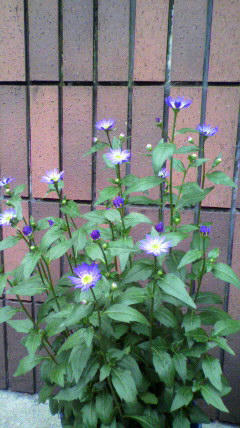 2011050616050000.jpg