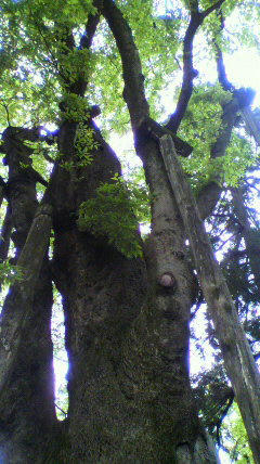 2011051612130001.jpg