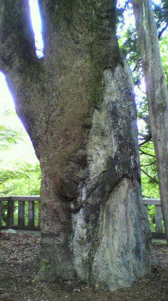 2011051612130000.jpg