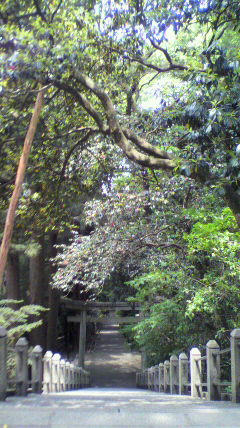 2011051612120000.jpg