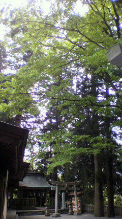 2011051612110002.jpg