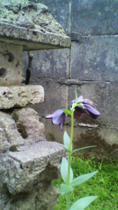 2011052017210000.jpg