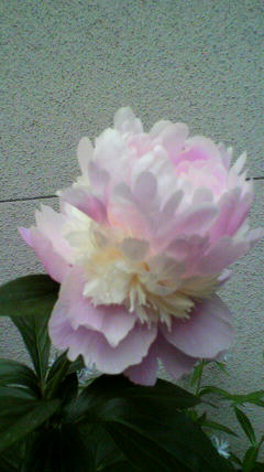 2011052017200001.jpg