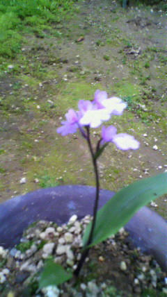 2011052017220000.jpg
