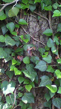 2011060309450001.jpg