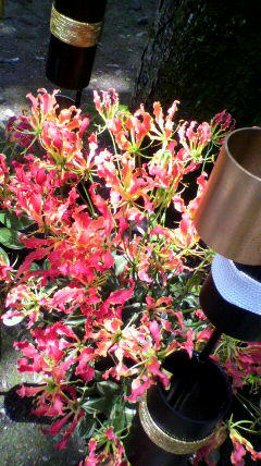 2011060313140002.jpg