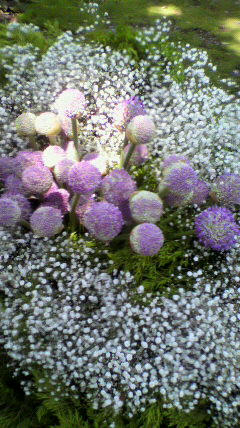 2011060313140001.jpg