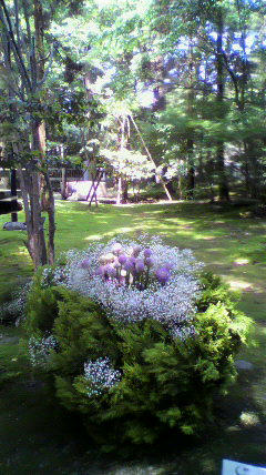 2011060313140000.jpg
