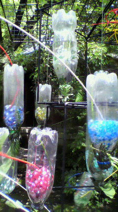 2011060313110000.jpg