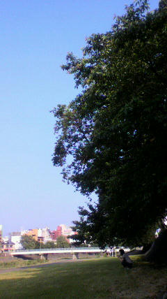 2011060816540000.jpg