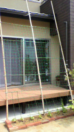 2011061010240001.jpg