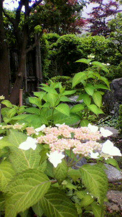 2011061210450000.jpg