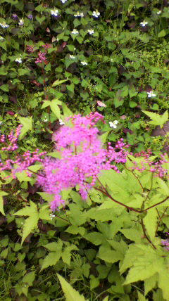2011061210470000.jpg