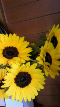2011062415140001.jpg