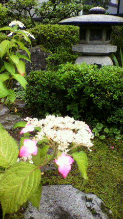 2011062415140000.jpg
