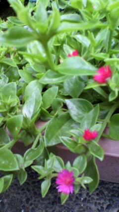 2011070307440000.jpg