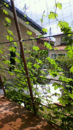 2011070510460000.jpg