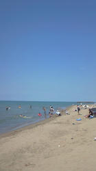201107101244000.jpg