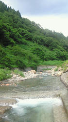 NEC_0743.jpg