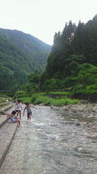NEC_0744.jpg
