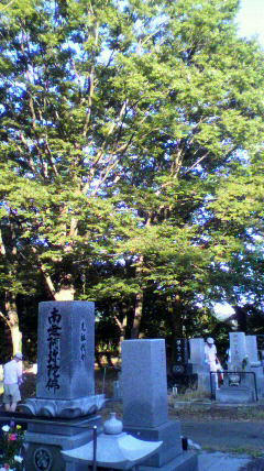 2011071306010000.jpg