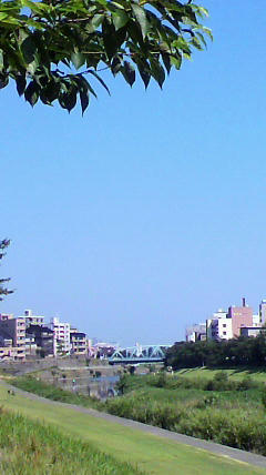 2011071608570001.jpg