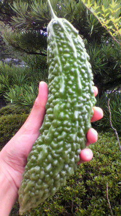 2011072411200000.jpg