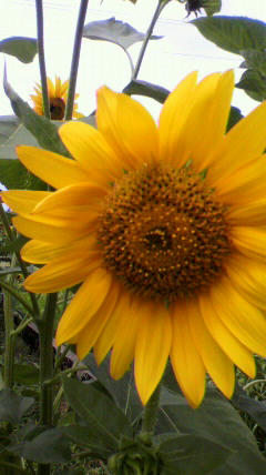 2011072411130000.jpg
