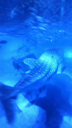 2011072212270000.jpg