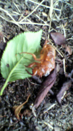 2011080609450000.jpg