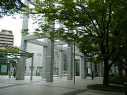 31d5a170.jpg