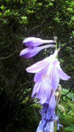 2011090110470000.jpg