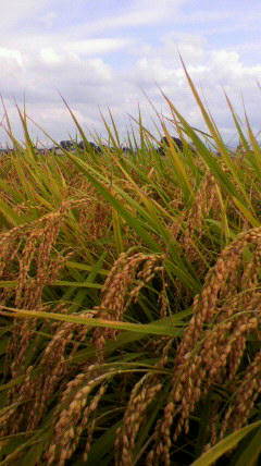 45f74d29.jpg