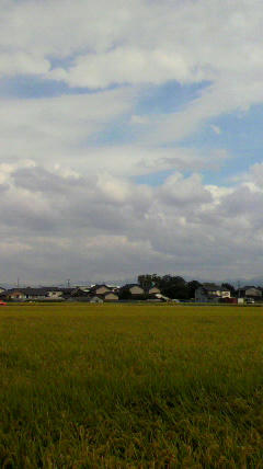 2011090914290000.jpg