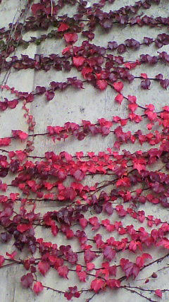 2011101707340000.jpg