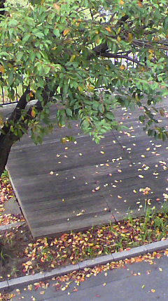 2011102415170000.jpg