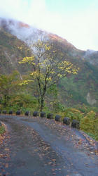 NEC_0256.jpg