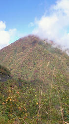 NEC_0257.jpg