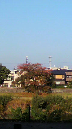 2011110415160000.jpg