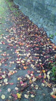 2011110813310000.jpg