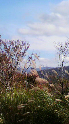 2011111011450001.jpg