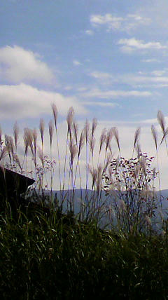 2011111011450000.jpg