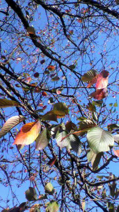 2011111610560001.jpg