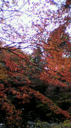 2011112713260000.jpg