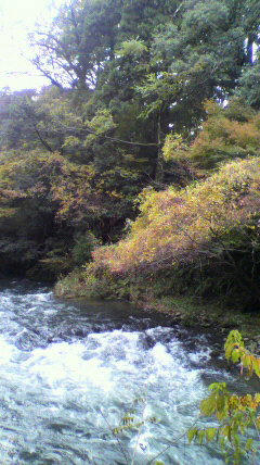 2011112713280000.jpg