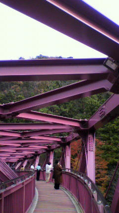 2011112713060000.jpg