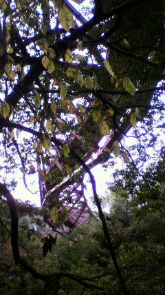 2011112713360001.jpg