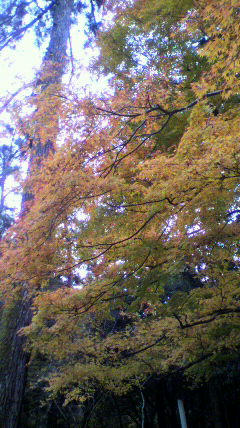 2011112713370001.jpg