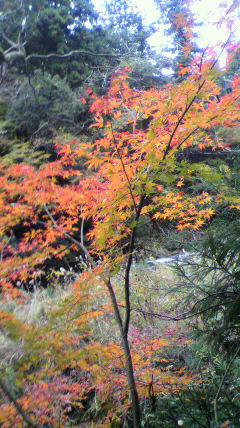 2011112713270000.jpg