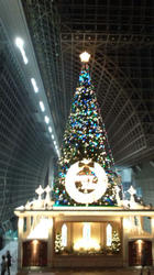 DCF00024.jpg